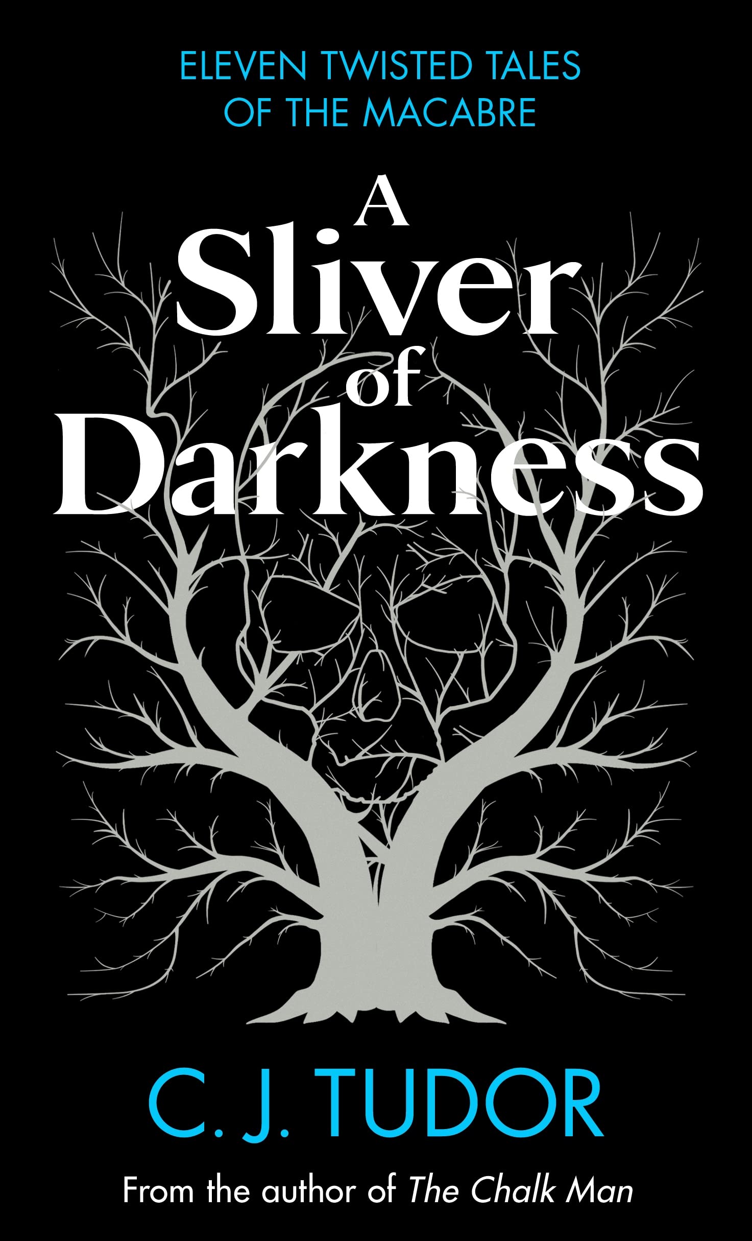 A Sliver of Darkness by C.J. Tudor (Hardback)