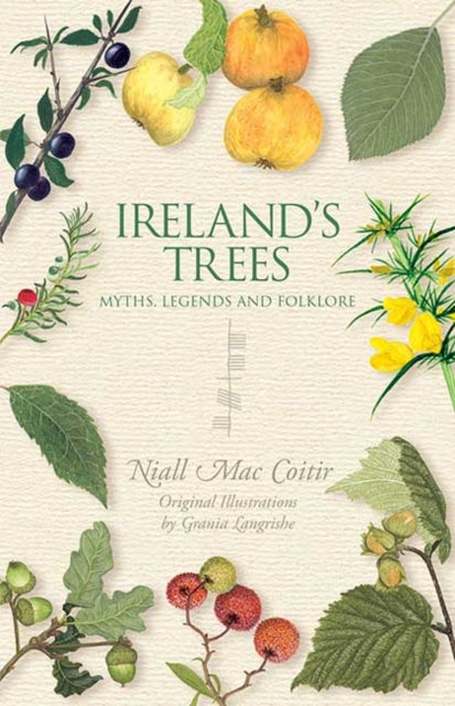 Ireland's Trees: Myths, Legends & Folklore by Niall Mac Coitir (Paperback)