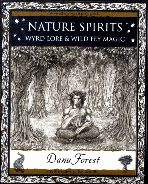 Nature Spirits: Wyrd Lore & Wild Fey Magic by Danu Forest (Paperback)