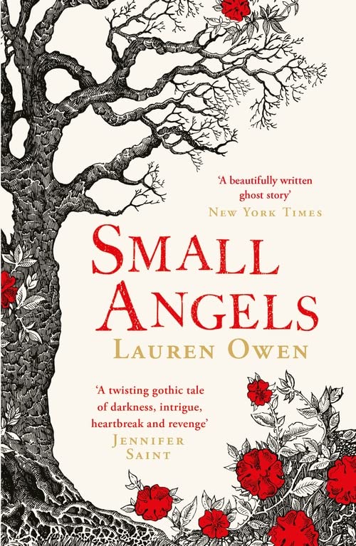 Small Angels by Lauren Owen (Hardback)