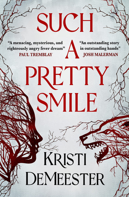 Such a Pretty Smile by Kristi DeMeester (Paperback)