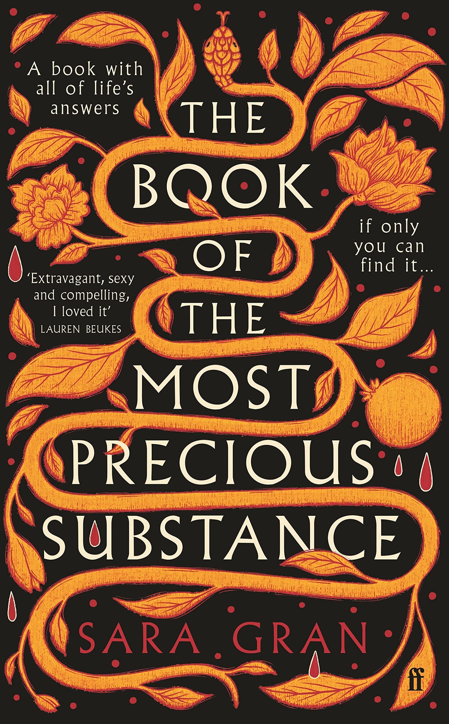 The Book of the Most Precious Substance by Sara Gran (Hardback)