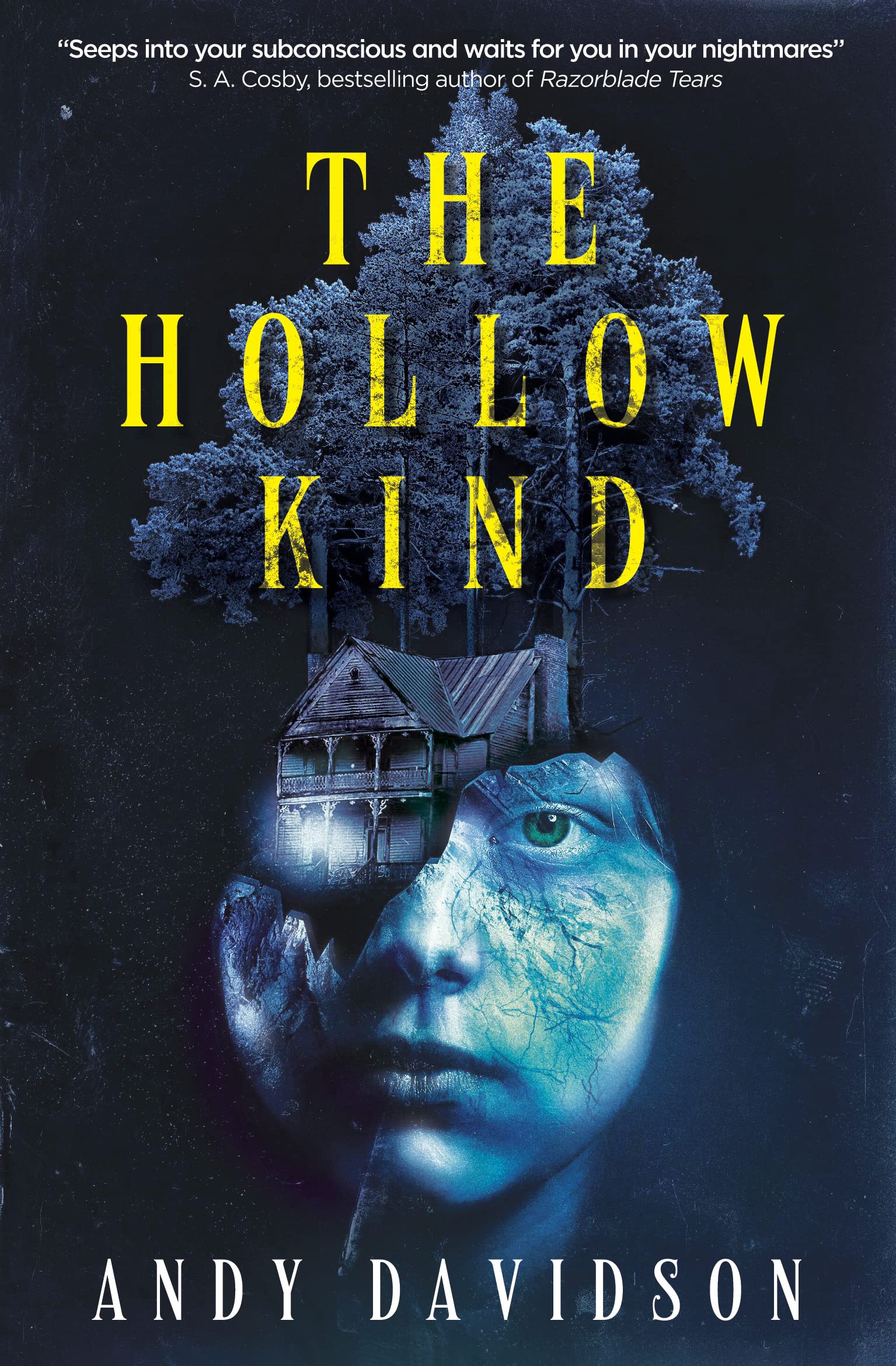 The Hollow Kind by Andy Davidson (Paperback)