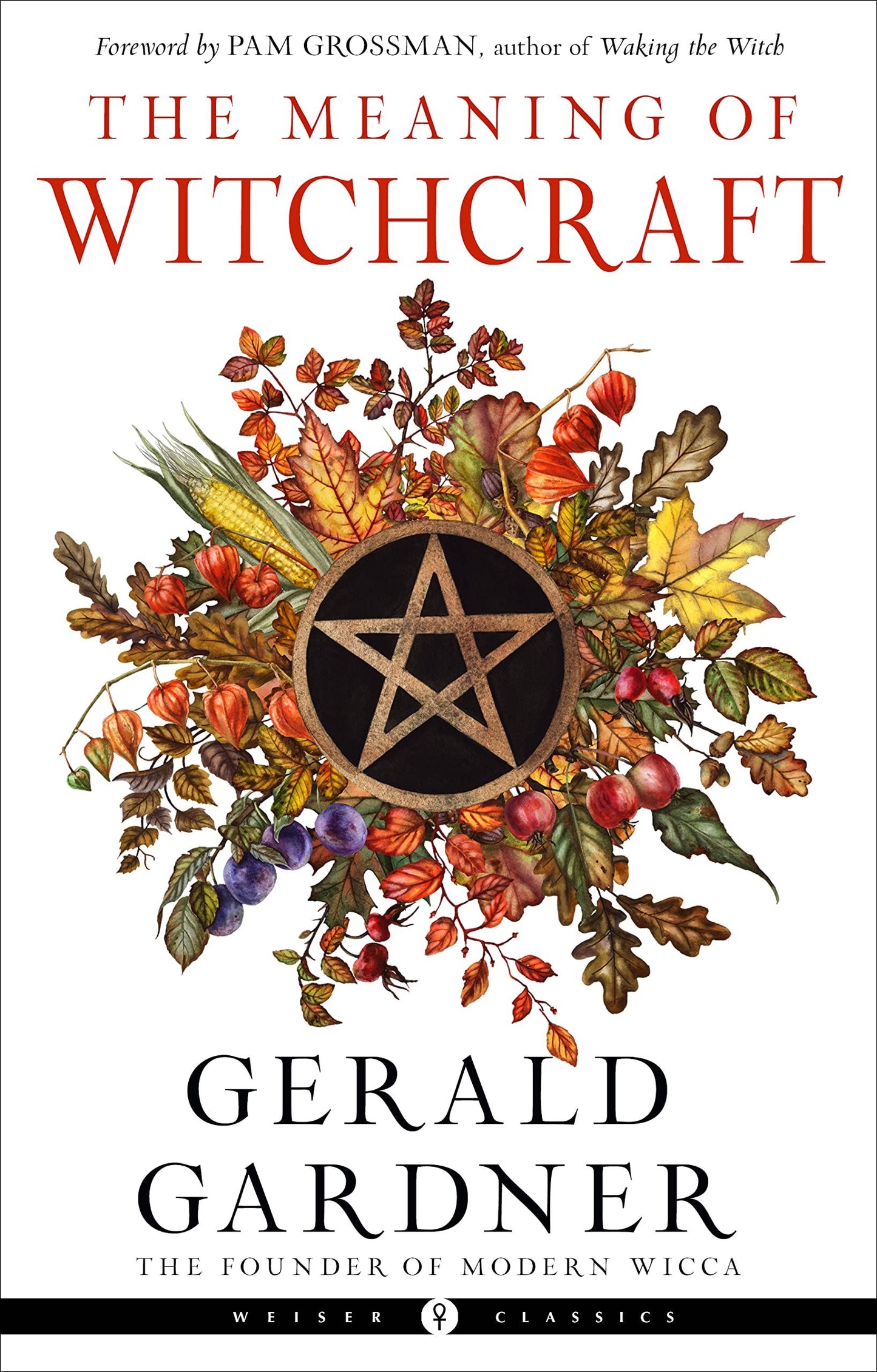 The Meaning of Witchcraft by Gerald Gardner (Paperback)