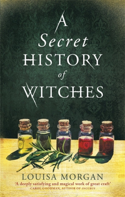 A Secret History of Witches by Louisa Morgan (Paperback)