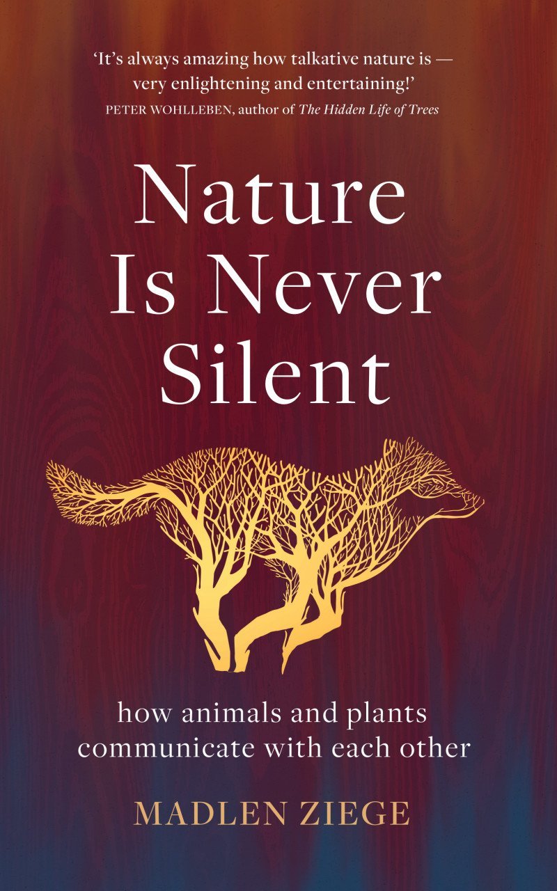 Nature Is Never Silent: How Animals and Plants Communicate With Each Other by Madlen Ziege (Hardback)