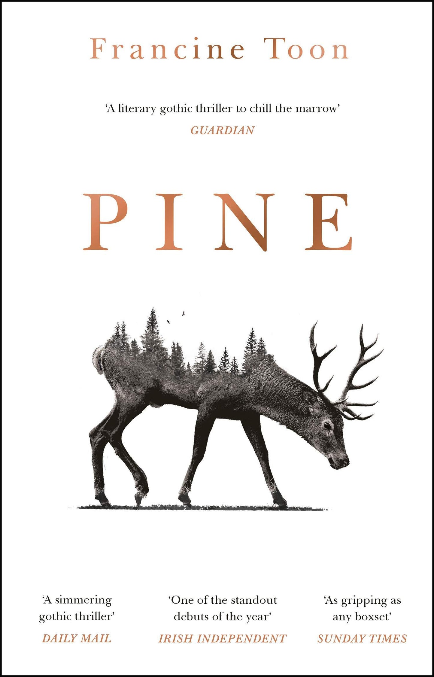 Pine by Francine Toon (Paperback)